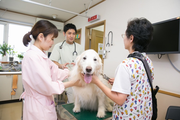 犬のよくある病気