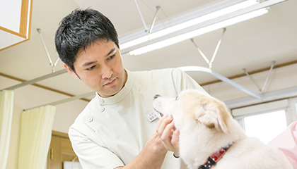 JAHA認定の動物病院